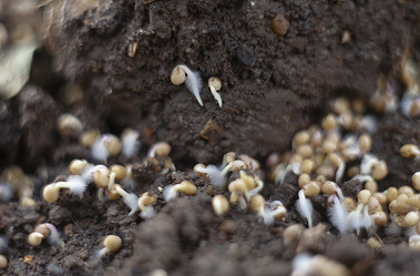 Similar image 21690477