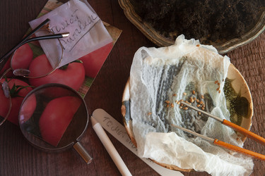 Similar image 21690478