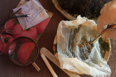 Similar image 21690479