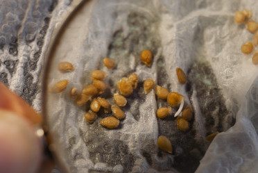 Similar image 21690480