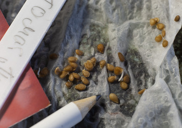 Similar image 21690481