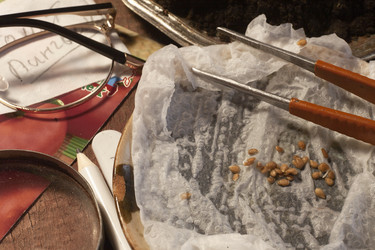 Similar image 21690482