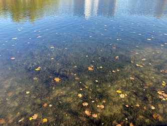 Similar image 21693272