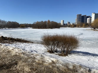 Similar image 21693279