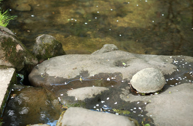 Similar image 21693286