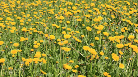 Similar image 21693288