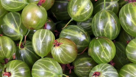 Similar image 21693298