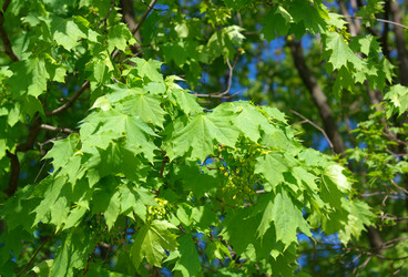 Similar image 21693300