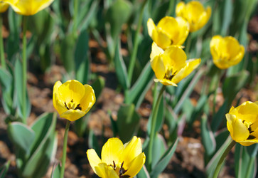 Similar image 21693303