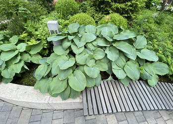 Similar image 21693310