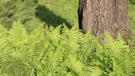 Similar image 21693515