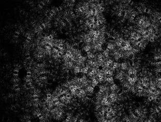 Similar image 21695311