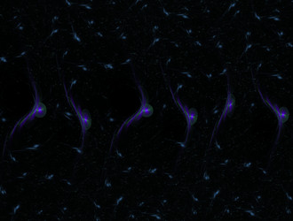 Similar image 21695549