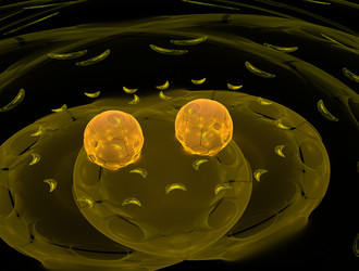 Similar image 21695552