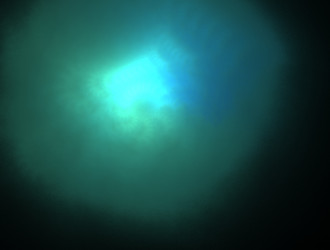 Similar image 21694927