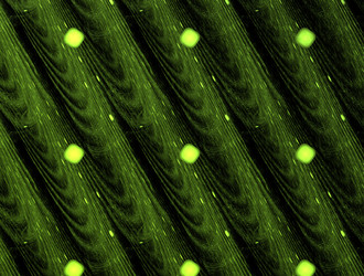 Similar image 21694932