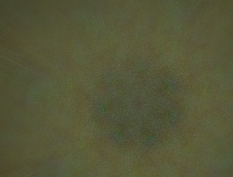 Similar image 21695093