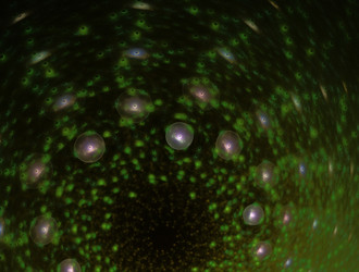 Similar image 21695183