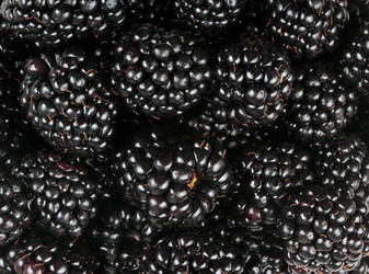 Similar image 21693317