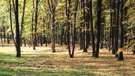 Similar image 21693318