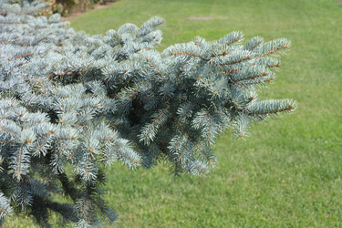 Similar image 21693522