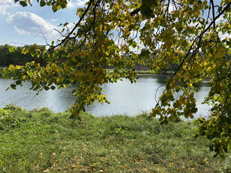 Similar image 21693523