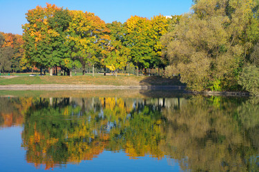 Similar image 21693526