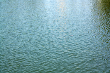 Similar image 21693528