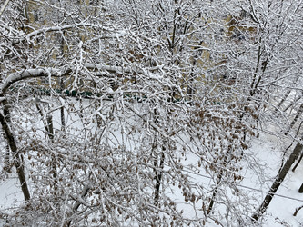 Similar image 21693531