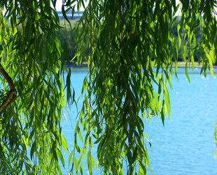 Similar image 21693533