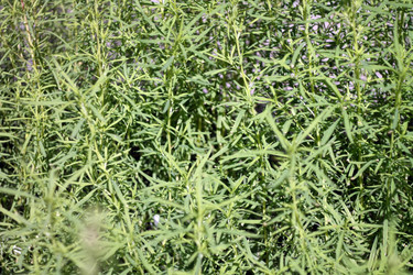 Similar image 21693534