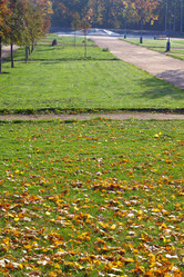 Similar image 21693537