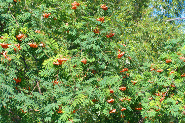 Similar image 21693540