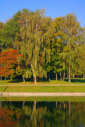 Similar image 21693545