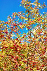 Similar image 21693547