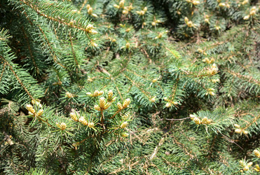 Similar image 21693548