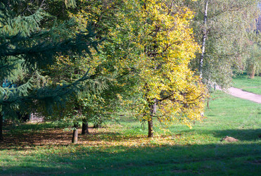 Similar image 21693551