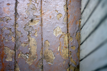 Similar image 21693552