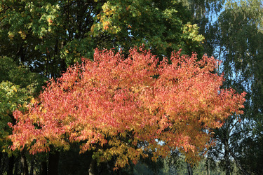 Similar image 21693555