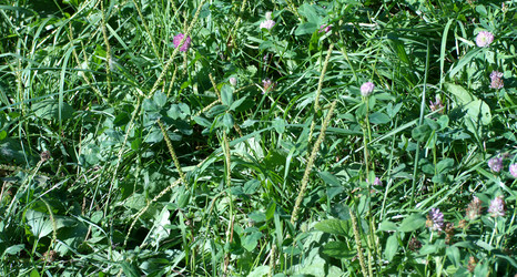 Similar image 21693657