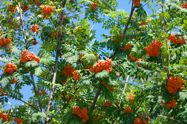 Similar image 21693663