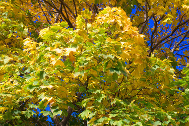 Similar image 21693667