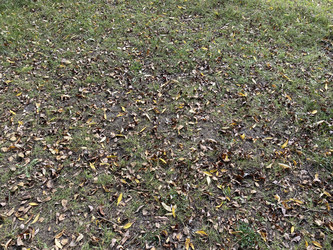 Similar image 21692691