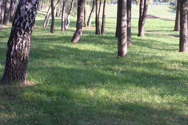 Similar image 21692693