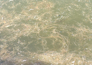 Similar image 21692695