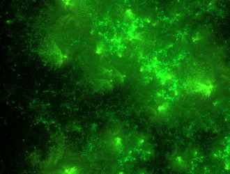 Similar image 21694718