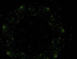 Similar image 21694969