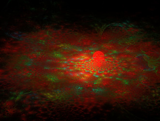 Similar image 21695331