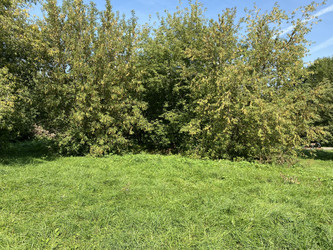 Similar image 21693566