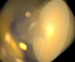 Similar image 21693690